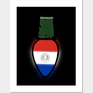 Paraguay Flag Christmas Light Posters and Art